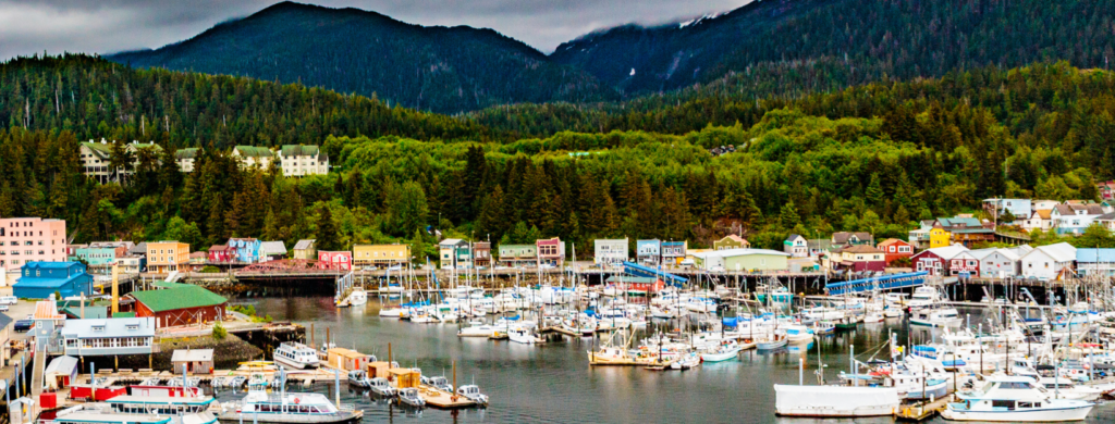 View of the cruise ship ports and harbors in Ketchikan Alaska where our fishing charter & wildlife tours boats are located.