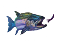 Ketchikan Halibut and Salmon Fishing Charters
