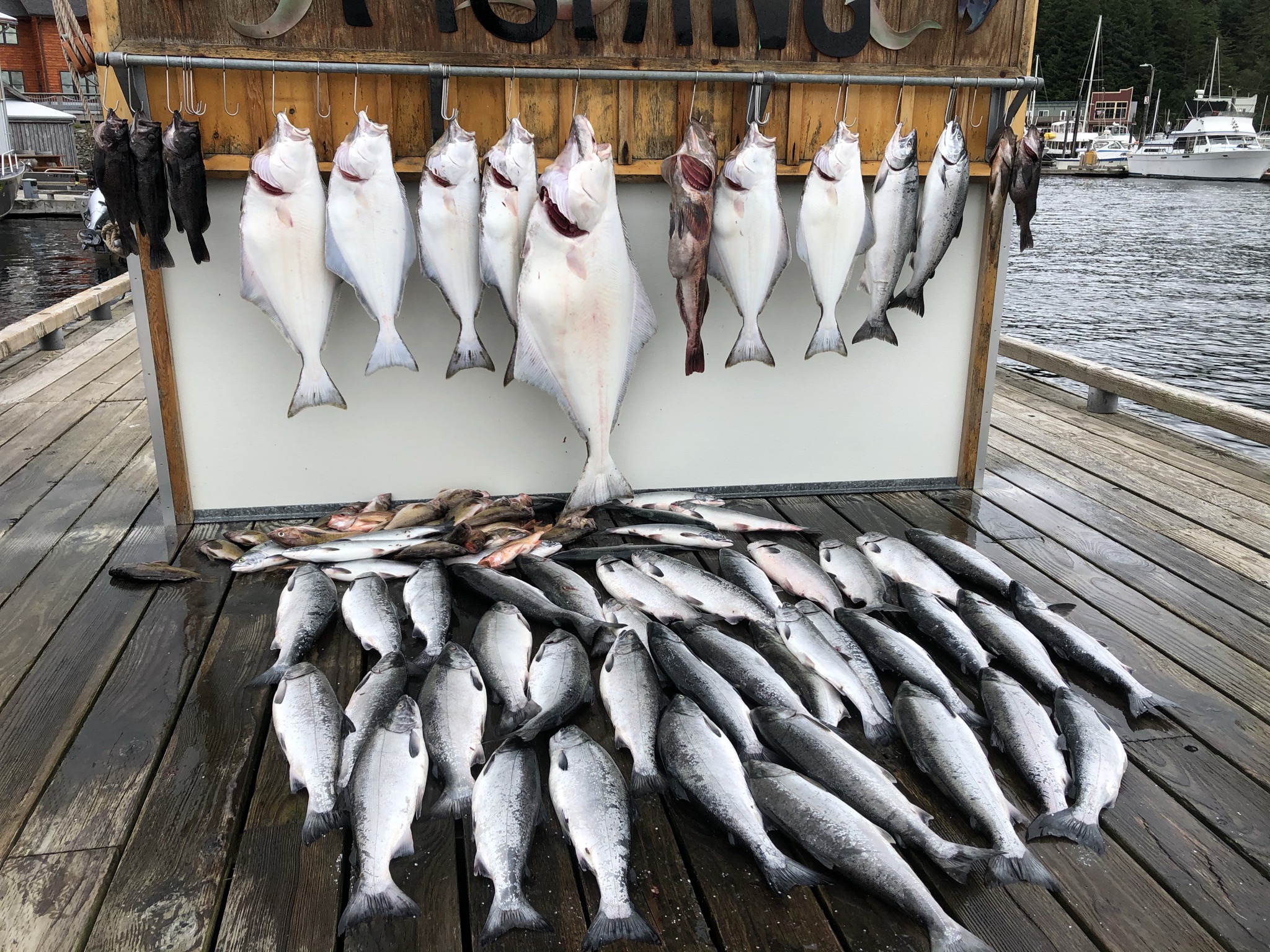 Day-of fishing charters and excursions in Ketchikan.