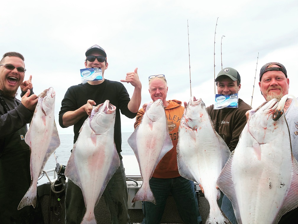 Fishbites Squid Chunks Catching Halibut In Ketchikan, Alaska