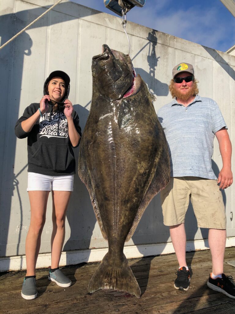 Trolling for Halibut