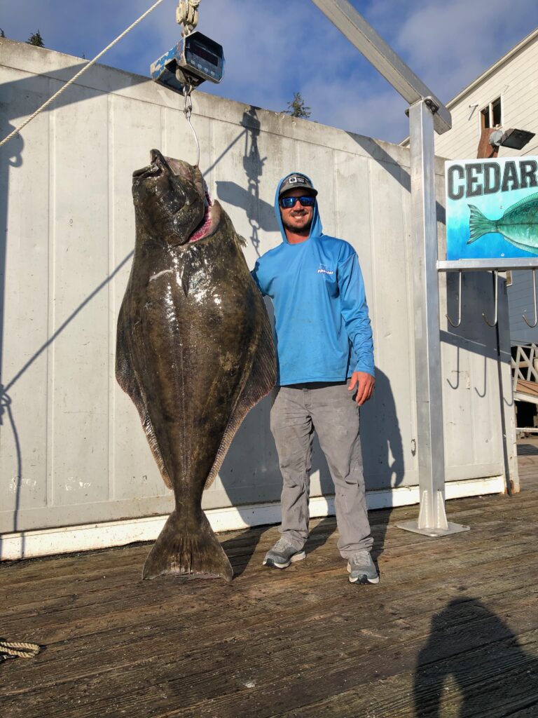 How to Catch Giant Halibut in Ketchikan Ketchikan Halibut and Salmon