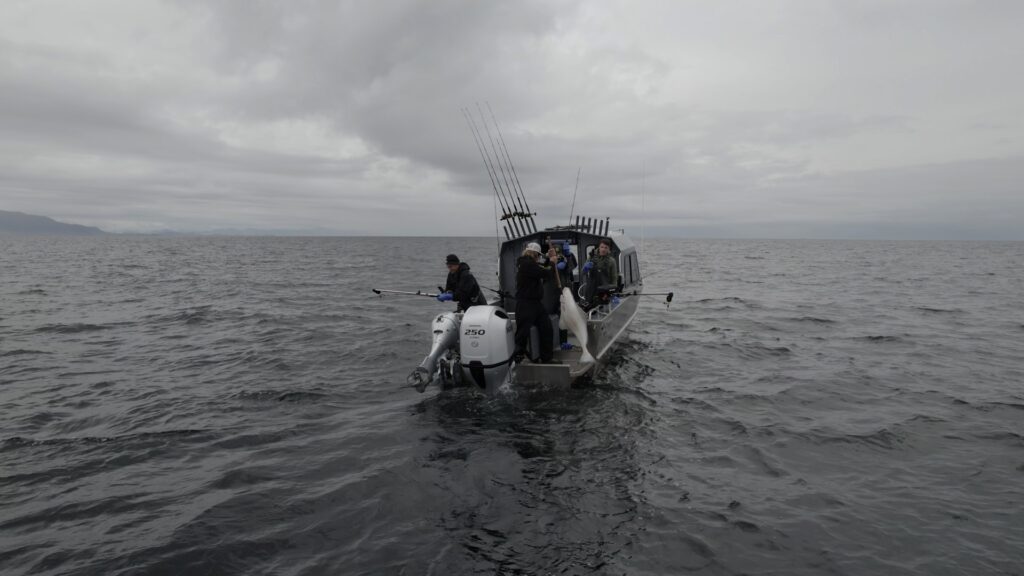 5 Halibut Fishing Tips for Your Ketchikan Alaska Halibut Fishing Trip