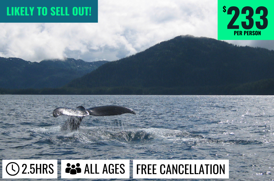 Ketchikan Ultimate Wildlife Viewing, Whale Whatching Expedition & Wilderness Dining $1,400 • 2.5 Hours • 1-6 People • Great for All Ages!