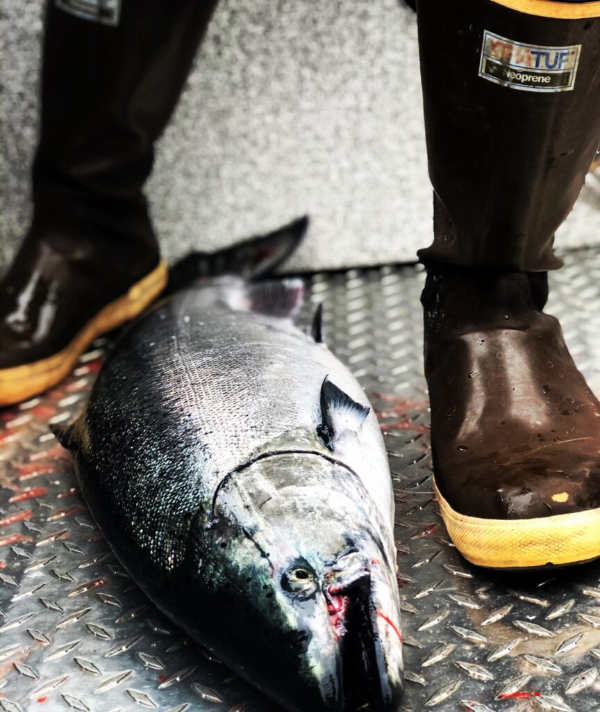 A wild salmon on the boat deck with someone standing next to it with Alaskan Xtra Tuff boots on.