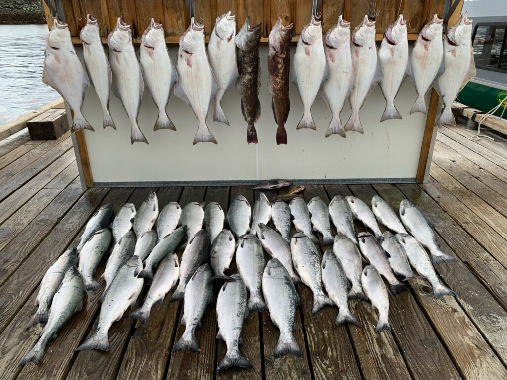 A large group of salmon laying on a dock that were caught during a Ketchikan Fishing Charter along with huge halibut hanging on fish hooks.